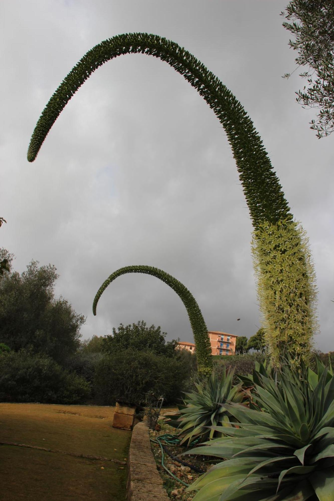 B&B Villa Adriana San Leone Dış mekan fotoğraf