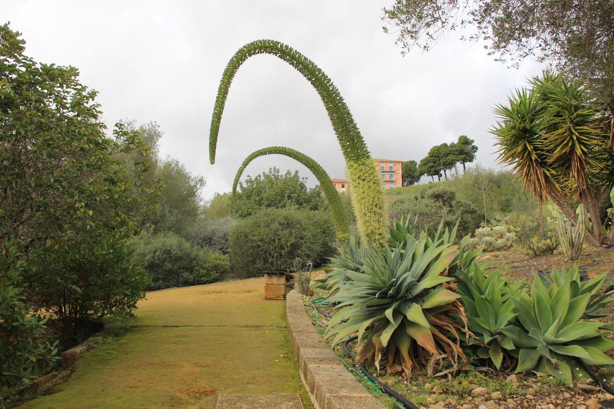 B&B Villa Adriana San Leone Dış mekan fotoğraf